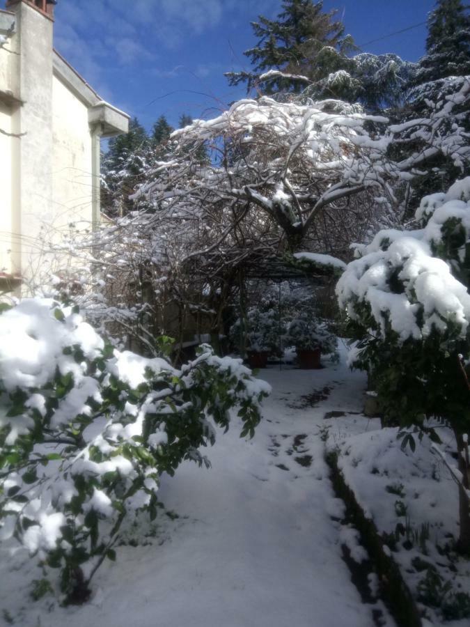 Casa Bartolacci Cozy Apartment Bivigliano Dış mekan fotoğraf